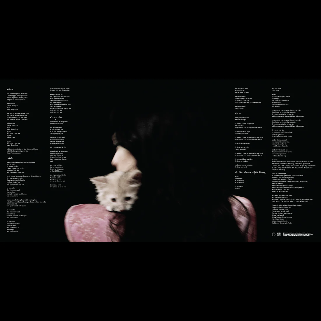 Bloom - 12” flower-shaped vinyl (limited edition) - Image 6