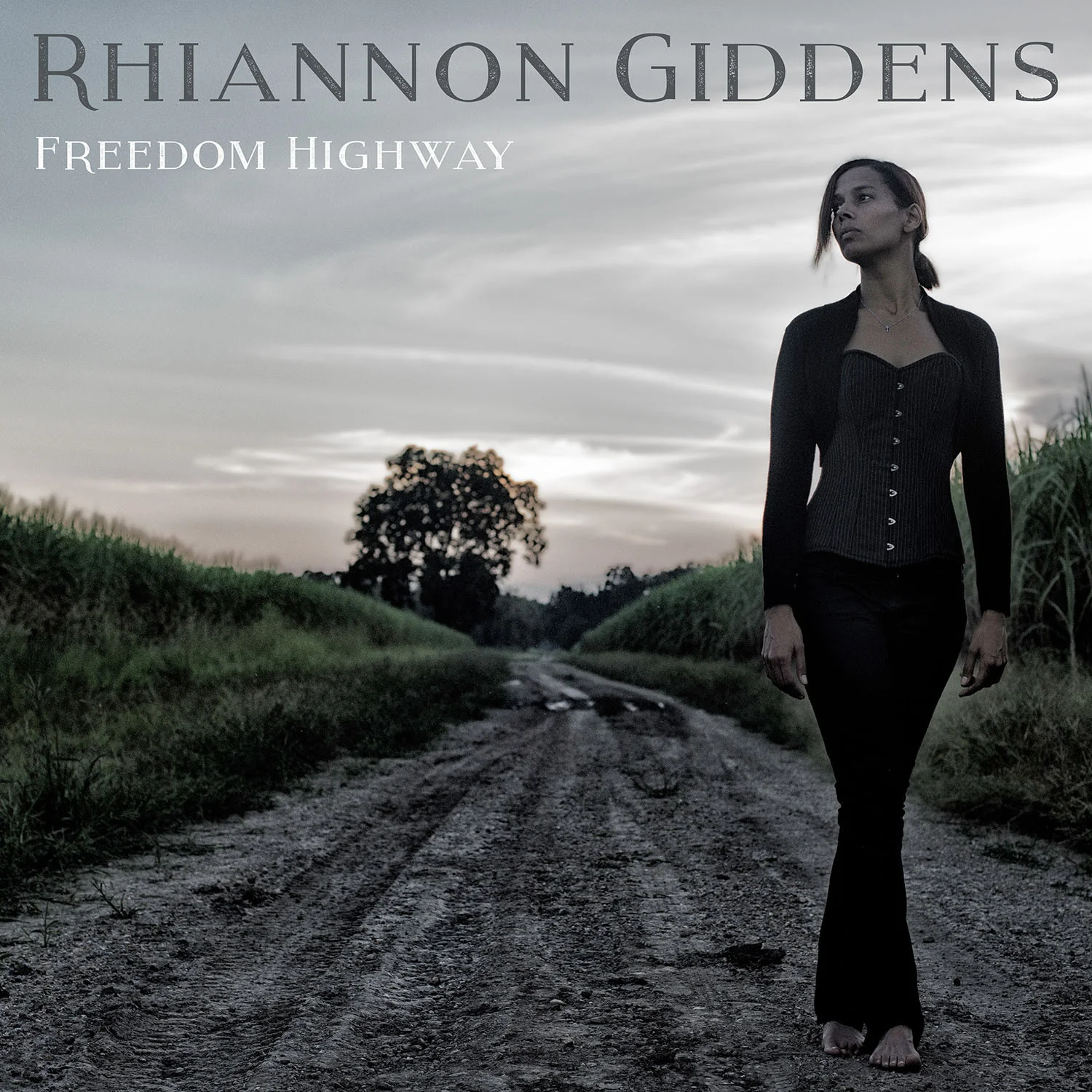 Freedom Highway (Vinyl)