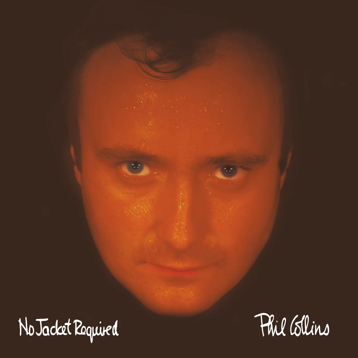 No Jacket Required CD