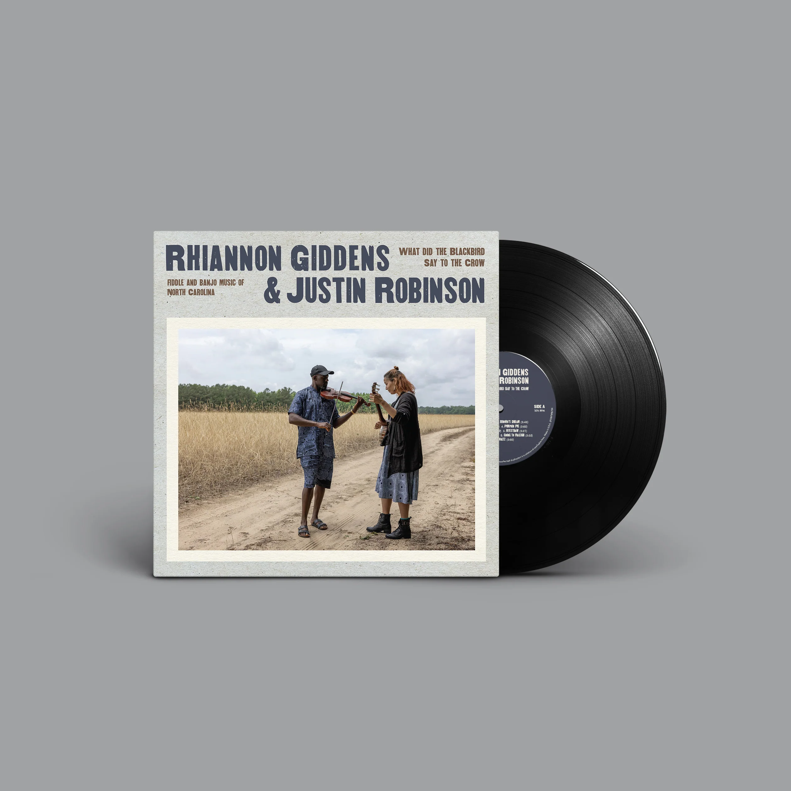 What Did the Blackbird Say to the Crow LP